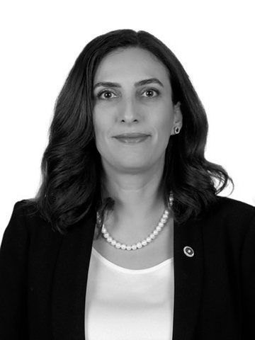 Evrim Rızvanoğlu Emir portresi