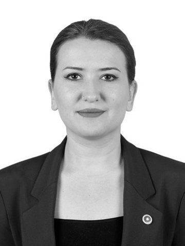 Gökçe Gökçen portresi