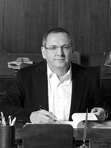 Mesut Ergin portresi